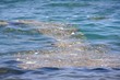 Polluted water in the Mediterranean Sea