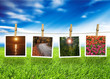 Natural polaroid photo concept... Natural polaroid photo concept...
