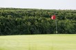golf put