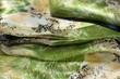 Green fabric ornate for background.