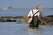 A la pêche aux crevettes A la pêche aux crevettes