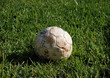 Soccer Ball Soccer Ball