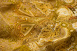 Yellow fabric ornate for background.