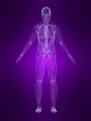 anatomie mit markiertem lymphsystem