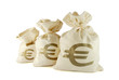 Photo: Three bags of money on the white background Three bags of money on the white background
