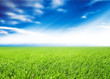 Beautiful and natural background.. Beautiful and natural background..