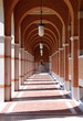Arches at Rice University Arches at Rice University