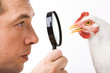 Close-up profiles of man and hen looking at each other