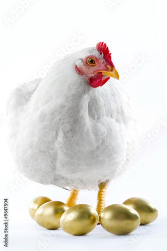 Photo: Image of hen surrounded by golden eggs Image of hen surrounded by golden eggs