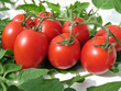 Tomaten