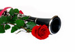 red rose and clarinet composition isolated