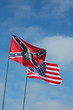 Confederate and American flags