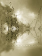 paysage zen