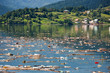 idyllic landscape ruined buy heavy pollution on water