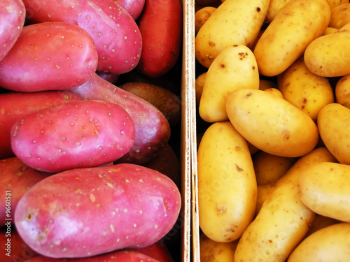 Foto: Kartoffelsorten Kartoffelsorten