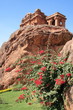 bougainvillier et temple bougainvillier et temple
