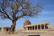 sous l'arbre sous l'arbre