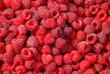 framboises à gogo