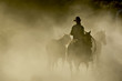 Single Cowboy with rope and horses in the dust