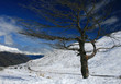 Crown Range pass New Zealand Crown Range pass New Zealand