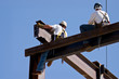 Two ironworkers atop the skeleton of a modern building