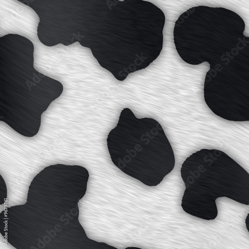 Pattern Of A Common Black And White Dairy Cow