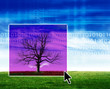 Tree and technology