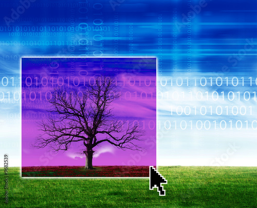 Foto: Tree and technology Tree and technology