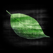Green leaf with binary code