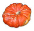 citrouille 02