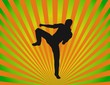 taekwondo silhouette