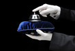Butlers outstretched arma ringing a call bell on velvet pillow Butlers outstretched arma ringing a call bell on velvet pillow