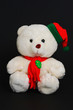 christmas teddy bear isolated in black background. christmas teddy bear isolated in black background.
