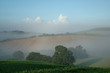 paysage brumeux