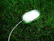 Computer mouse on grass