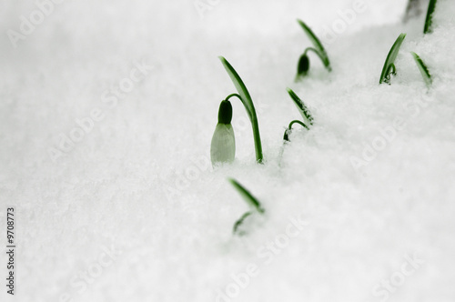 Kampf mit dem Schnee