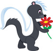 A cute little skunk holding a red flower. A cute little skunk holding a red flower.
