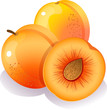 Vector: peach peach