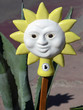 sole