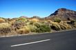 Highway and Nature on teneriffe Highway and Nature on teneriffe