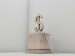 capital
