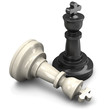 Photographie : Kings check mate