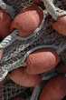 flotteur de pêche