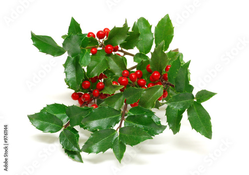 Photo: Holly Holly