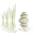 Zen Simplicity