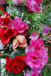 red and pink cloth roses