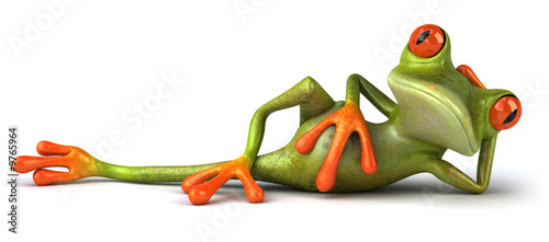 Grenouille allongée