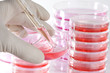 Foto: Wissenschaft Wissenschaft