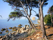 promenade sur l'ile