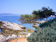 couleurs du sud couleurs du sud